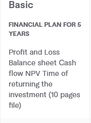 Financial plan for 5 years